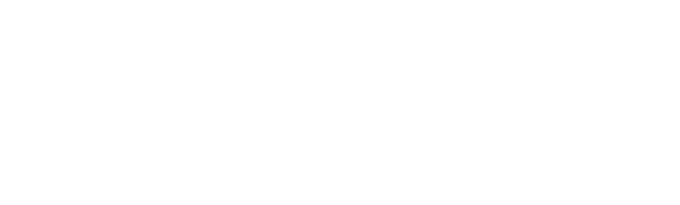 Rizelex Academy